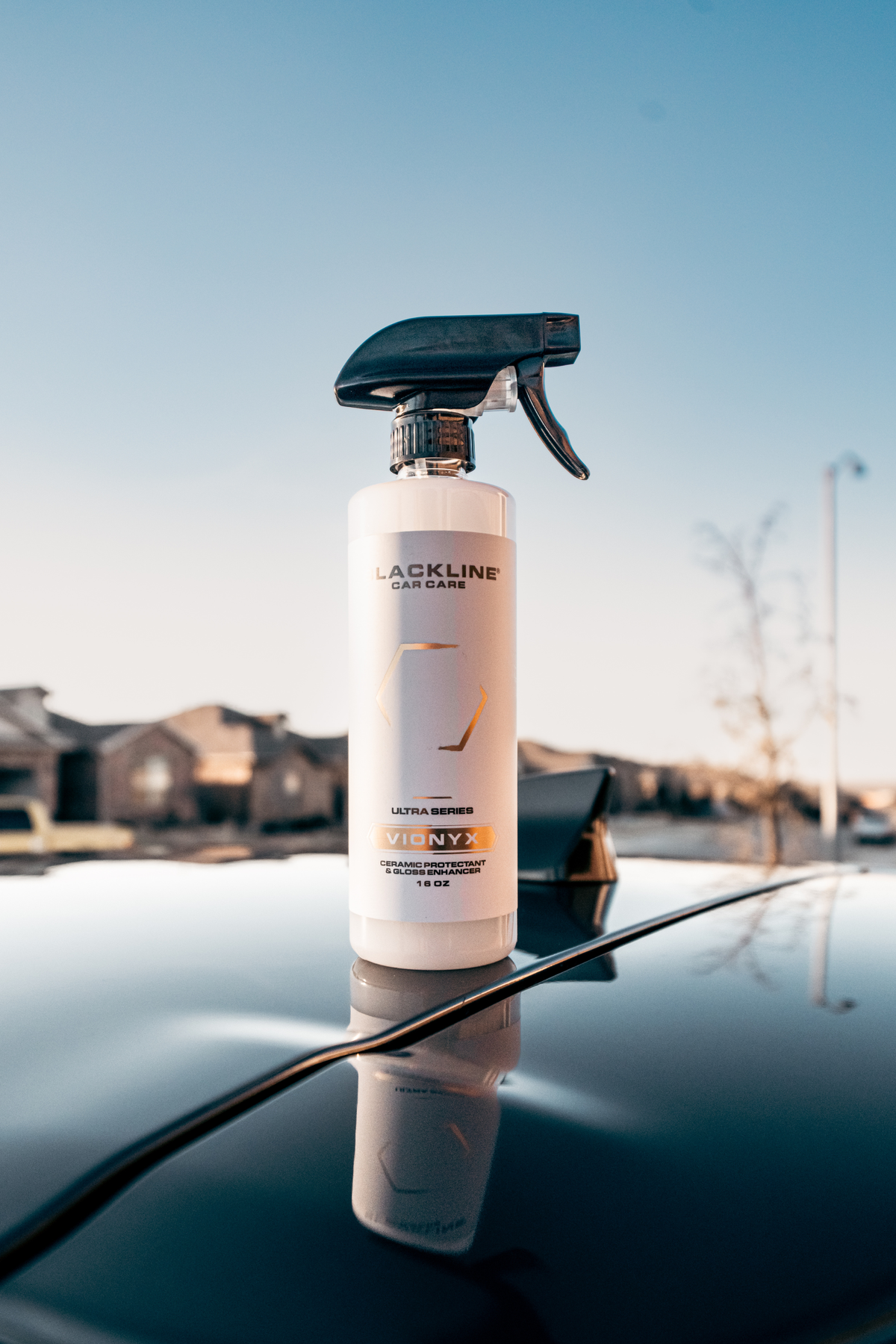 Blackline Vionyx Ceramic Protectant, photo 3 of 14